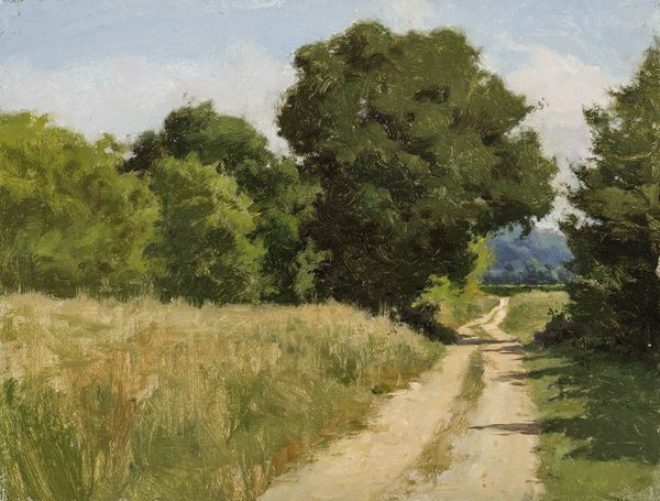 Forest landscape in the Zala Hills